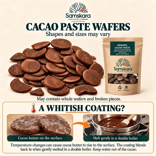 Cacao Paste | Button-shaped Rich &amp; Raw | Organic BIO