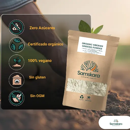 Ginseng en polvo (Spanish).webp