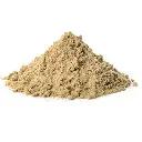 Organic-Pumpkin-Seed-Protein-Powder.webp