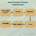mush-min.webp