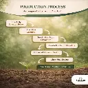 Ashwagandha Powder | Organic BIO