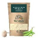 FERMENTED PEA PROTEIN POWDER (83%) | Organic BIO | Weight Loss, Muscle Gain + Energy Booster, Focus, Concentration & Digestion friendly