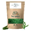 CHLORELLA POWDER | Organic BIO | + Nutrient-Rich Superfood + High in Natural Chlorophyll and Vegan Protein + Non-GMO, Gluten-Free 