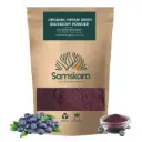 NORDIC BLUEBERRY POWDER | Organic BIO | 100% Freeze‑Dried Blueberries + Antioxidant‑Rich + use for Smoothies & Baking (150g)